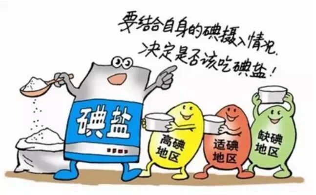 樱桃视频色版APP下载厂家