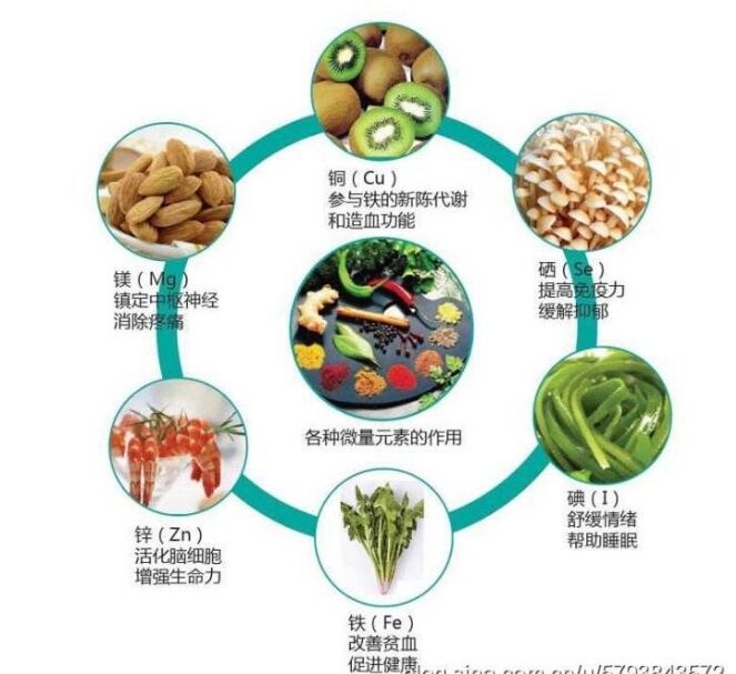 全自动樱桃视频在线播放分析头发检测的结果