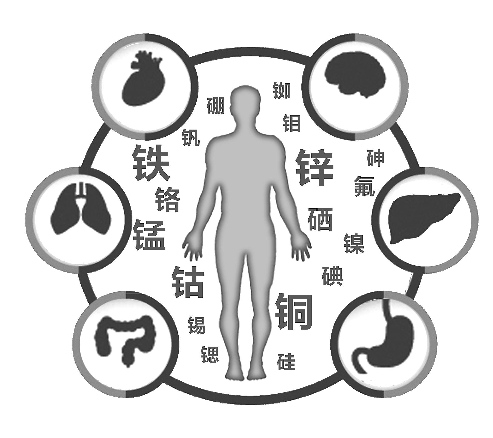 樱桃视频在线播放检查有必要吗